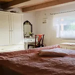 Near Forest And In Pomeranian *
