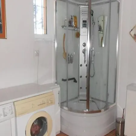 Near Forest And In Pomeranian *