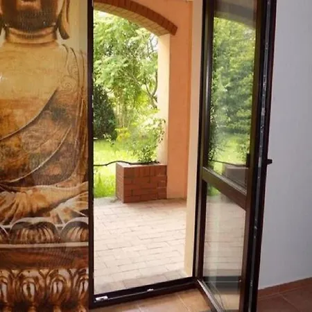 Near Forest And In Pomeranian * Łyśniewo