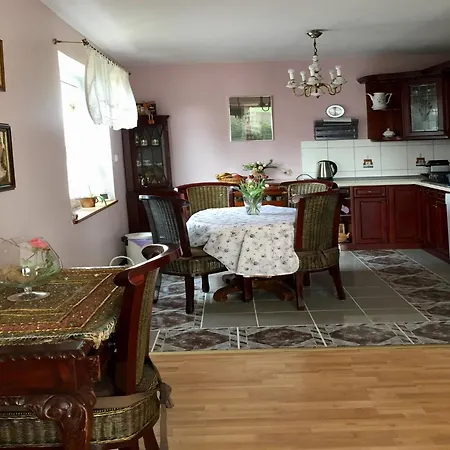 Near Forest And In Pomeranian