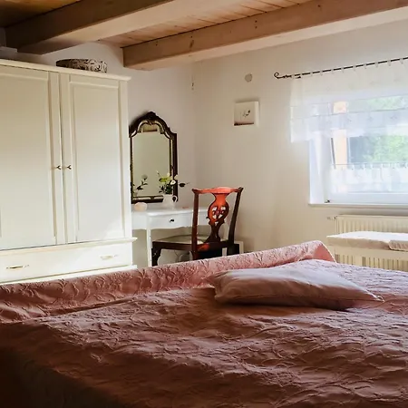 Near Forest And In Pomeranian *