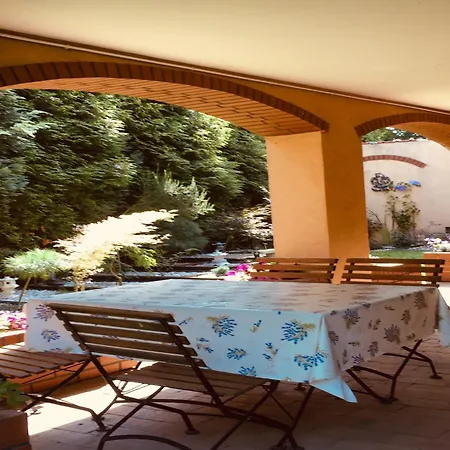 Near Forest And In Pomeranian Łyśniewo