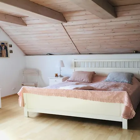 Near Forest And In Pomeranian * Łyśniewo