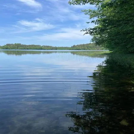 Near Forest And In Pomeranian