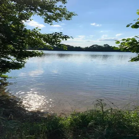 Near Forest And In Pomeranian 別荘 Łyśniewo