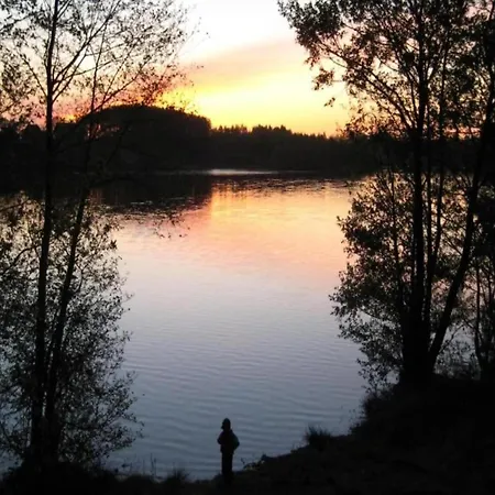 Near Forest And In Pomeranian * Łyśniewo
