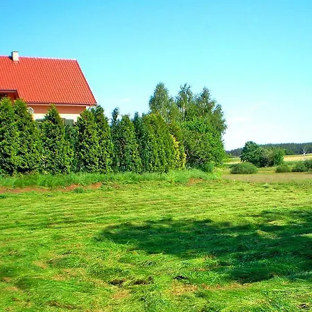 Near Forest And In Pomeranian *