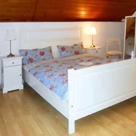 Near Forest And In Pomeranian * Łyśniewo