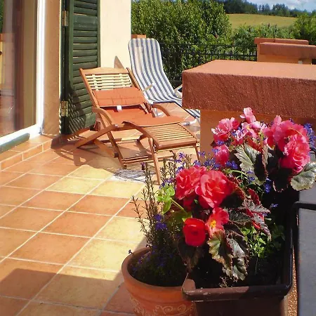 Near Forest And In Pomeranian Łyśniewo