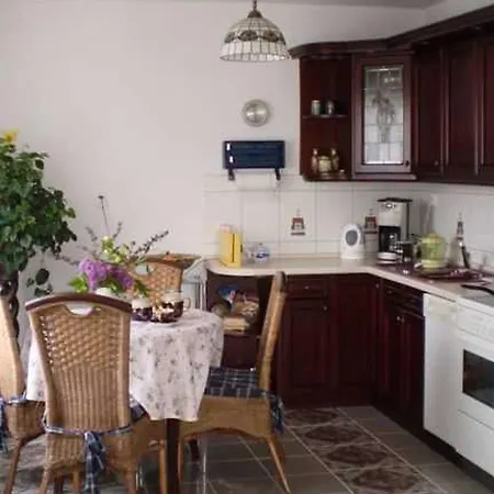 Near Forest And In Pomeranian Łyśniewo