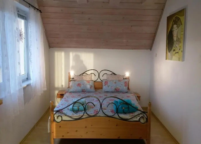 Near Forest And In Pomeranian Lysniewo