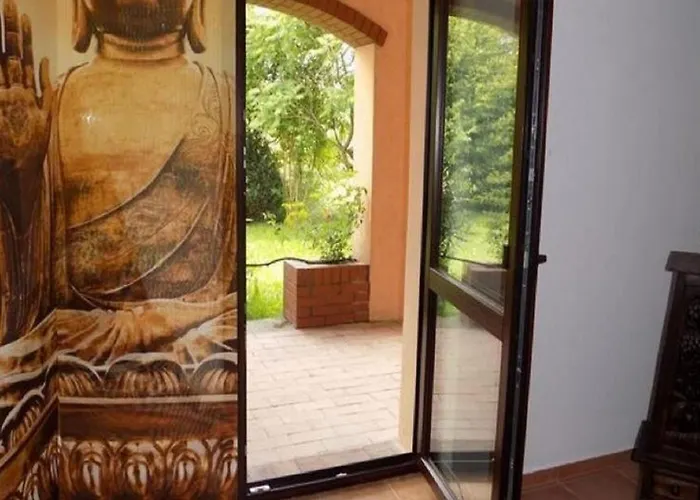 Near Forest And In Pomeranian * Lysniewo