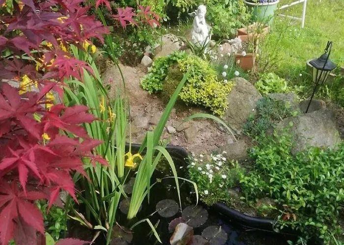 Tatil Evi Near Forest And In Pomeranian Lysniewo