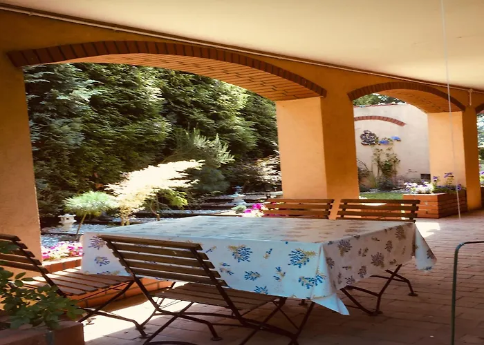 Near Forest And In Pomeranian Lysniewo