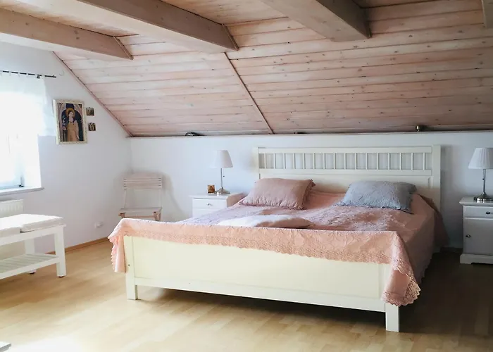 Near Forest And In Pomeranian * Lysniewo