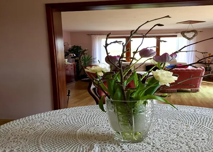 Tatil Evi Near Forest And In Pomeranian