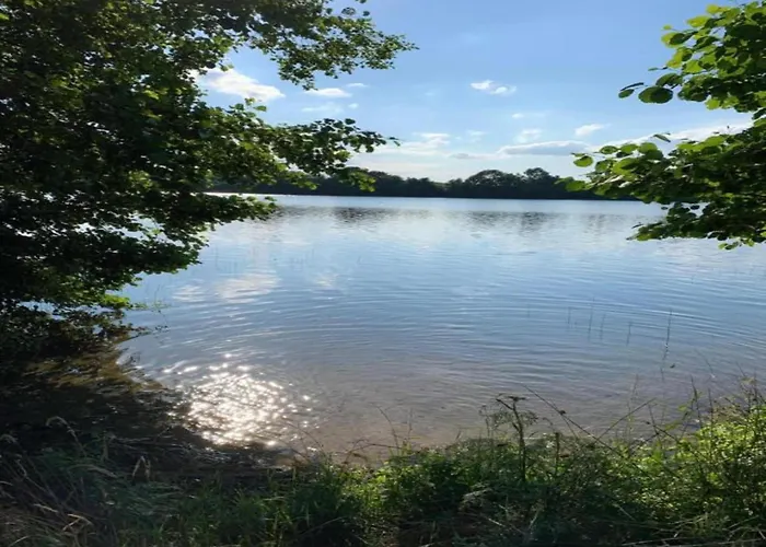 Near Forest And In Pomeranian Tatil Evi Lysniewo