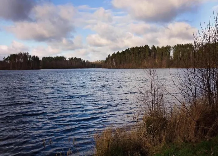 Near Forest And In Pomeranian Lysniewo