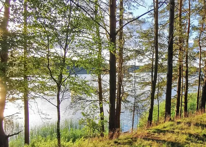 Near Forest And In Pomeranian *