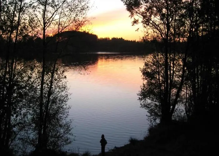 Near Forest And In Pomeranian * Lysniewo