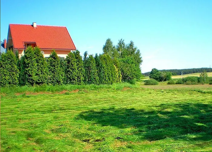 Near Forest And In Pomeranian *