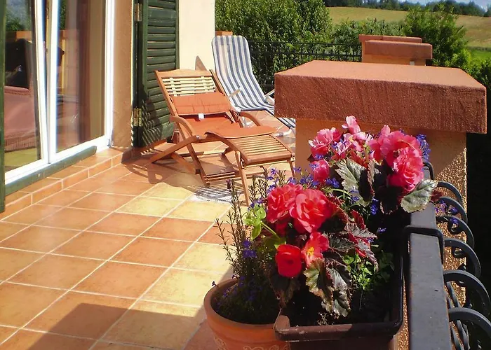 Near Forest And In Pomeranian Lysniewo