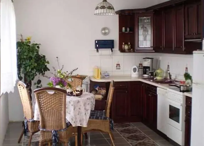 Near Forest And In Pomeranian Lysniewo